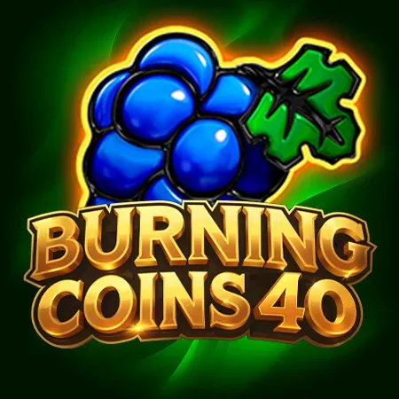 Burning Coins 40 chez Viking Luck Casino